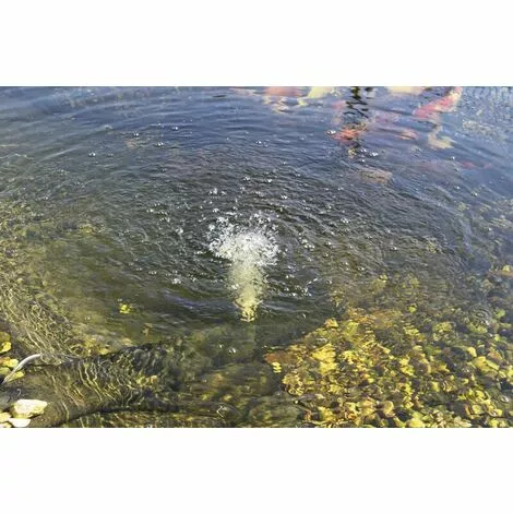 Tout neuf ? Aérateur Solaire De Bassin "DUO-Air" Esotec ✔️ 4 Tout neuf ? Aérateur Solaire De Bassin "DUO-Air" Esotec ✔️ – Image 2