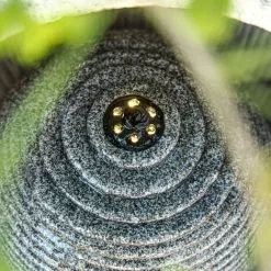 Les meilleures critiques de ? ESOTEC Fontaine De Jardin Fontaine + Décoration Cascade Lumineuse LED Fontaine Dintérieur 230V 101451 ? 10 Les meilleures critiques de ? ESOTEC Fontaine De Jardin Fontaine + Décoration Cascade Lumineuse LED Fontaine Dintérieur 230V 101451 ? -ESOTEC Boutique 26787372 4