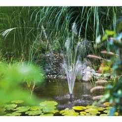 Top 10 ? Pompe Solaire De Remplacement Milano 12-24V Pompe Solaire Pour Bassin Pompe Pour Bassin De Jardin Esotec 101733 ✔️ 8 Top 10 ? Pompe Solaire De Remplacement Milano 12-24V Pompe Solaire Pour Bassin Pompe Pour Bassin De Jardin Esotec 101733 ✔️ -ESOTEC Boutique 26787448 3