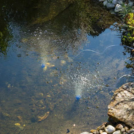 Acheter ? Aérateur De Bassin Solaire 8W 200 L/h Pompe Aération De Bassin Oxygène Esotec 101845 ⌛ 5 Acheter ? Aérateur De Bassin Solaire 8W 200 L/h Pompe Aération De Bassin Oxygène Esotec 101845 ⌛ – Image 3