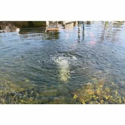 Tout neuf ? Aérateur De Bassin De Pompe Solaire De Remplacement 6-9V Bassin Doxygène Bassin De Jardin Esotec 101871 ⌛ -ESOTEC Boutique 26787657 3