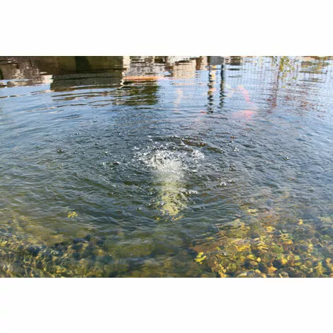 Acheter ✔️ Aérateur De Bassin Solaire 3,5W 120l / H W. Ventilation Détang De Jardin à Batterie Esotec 101872 ? 4 Acheter ✔️ Aérateur De Bassin Solaire 3,5W 120l / H W. Ventilation Détang De Jardin à Batterie Esotec 101872 ? – Image 2