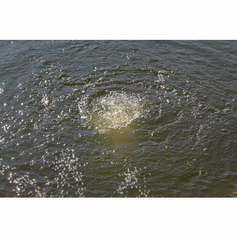 Bon marché ? Aérateur De Bassin De Pompe Solaire De Remplacement 18V Bassin à Oxygène étang De Jardin Esotec 101889 ⭐ 5 Bon marché ? Aérateur De Bassin De Pompe Solaire De Remplacement 18V Bassin à Oxygène étang De Jardin Esotec 101889 ⭐ – Image 3