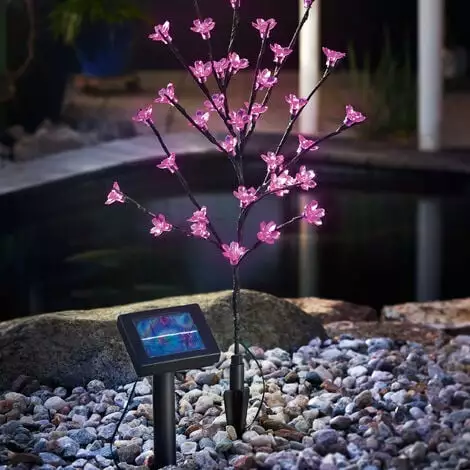 Bon marché ? Arbuste à Fleurs Solaire Lumière Décorative Lampe Solaire Lampe De Jardin Extérieur LED Esotec 102104 ? 5 Bon marché ? Arbuste à Fleurs Solaire Lumière Décorative Lampe Solaire Lampe De Jardin Extérieur LED Esotec 102104 ? – Image 3