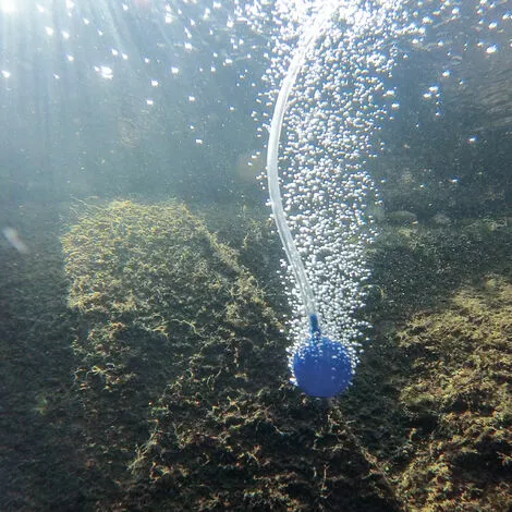 Sortie ✔️ Aérateur De Bassin Solaire 3,5W 130 L/h Pompe Aération De Bassin Oxygène Esotec 101841 ? 6 Sortie ✔️ Aérateur De Bassin Solaire 3,5W 130 L/h Pompe Aération De Bassin Oxygène Esotec 101841 ? – Image 4