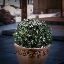 Sortie ? Chaîne Lumineuse Solaire Premium 100 LED Décoration De Noël De Jardin Blanc Froid Esotec 102169 ?