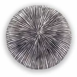 Meilleur prix ? Boule Solaire 27 Cm Optique Grès Lumière Solaire Décoration De Jardin LED Esotec 102676 ? 11 Meilleur prix ? Boule Solaire 27 Cm Optique Grès Lumière Solaire Décoration De Jardin LED Esotec 102676 ? -ESOTEC Boutique 26789724 5