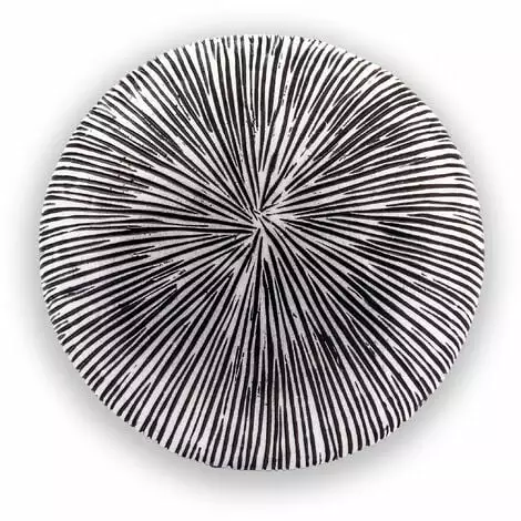 Meilleur prix ? Boule Solaire 27 Cm Optique Grès Lumière Solaire Décoration De Jardin LED Esotec 102676 ? 7 Meilleur prix ? Boule Solaire 27 Cm Optique Grès Lumière Solaire Décoration De Jardin LED Esotec 102676 ? – Image 5