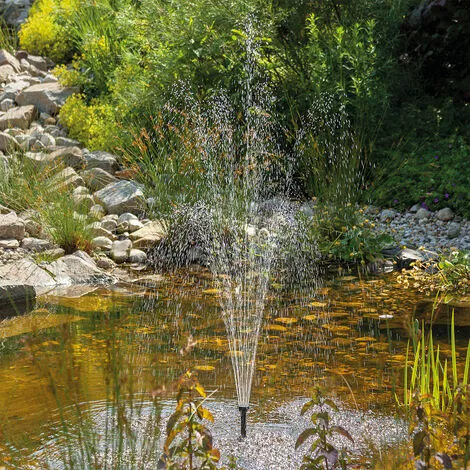 Acheter ? Filtre De Bassin Solaire Professional 12W 650 L/h Pompe De Bassin De Jardin Esotec 100901 ? 4 Acheter ? Filtre De Bassin Solaire Professional 12W 650 L/h Pompe De Bassin De Jardin Esotec 100901 ? â Image 2