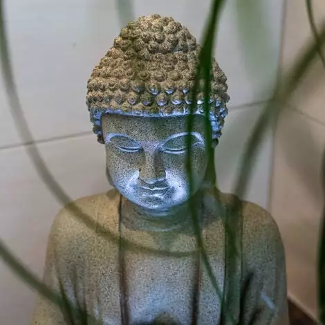 Meilleur prix ? ESOTEC Fontaine Dintérieur Bouddha Fontaine LED Fontaine Ornementale Fontaine De Jardin 230V 101402 ? 6 Meilleur prix ? ESOTEC Fontaine Dintérieur Bouddha Fontaine LED Fontaine Ornementale Fontaine De Jardin 230V 101402 ? – Image 4