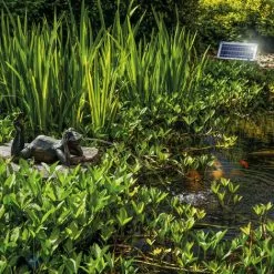 Le moins cher ❤️ Gargouille Grenouille + Pompe Solaire D’étang 8 Watts D’eau étang Esotec 101650 ? -ESOTEC Boutique 28040736 3