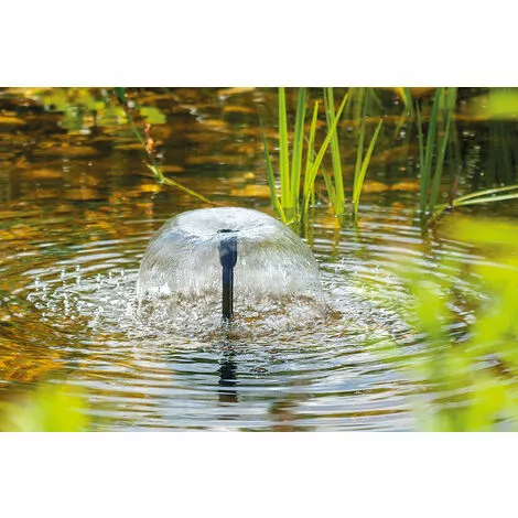 Meilleure affaire ❤️ Pompe Solaire De Remplacement Roma 12-24V Pompe Solaire Pompe Détang étang De Jardin Esotec 101734 ? 5 Meilleure affaire ❤️ Pompe Solaire De Remplacement Roma 12-24V Pompe Solaire Pompe Détang étang De Jardin Esotec 101734 ? – Image 3